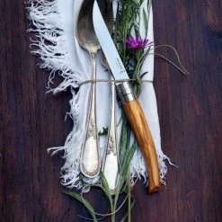 Opinel Olive Wood Handle Set Of 4 Steak Knives -Knife Sets outlet store wood handle set of 4 steak knives